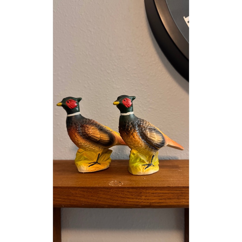Vintage Matte Pheasant Salt and Pepper Shakers